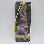 Elephant Bath - Thunder Bay 3D Bookmark