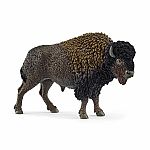 Bison