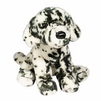 Mackay Dalmatian .