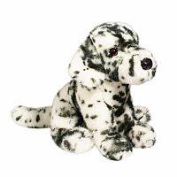 Mackay Dalmatian .