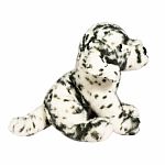 Mackay Dalmatian .