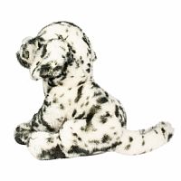 Mackay Dalmatian .