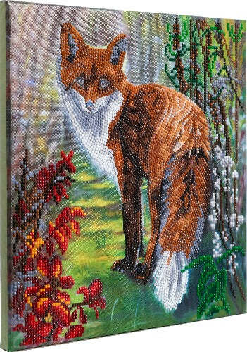 Crystal Art Autumn Fox Diamond Painting