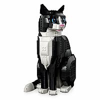 Ideas: Tuxedo Cat 