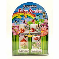 Surprise  Fairy Garden 