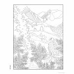 Creative Haven - Forest & Woodland Wildlife Coloring Book