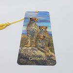 Cheetahs - Thunder Bay 3D Bookmark