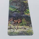 Creepy Crawlies - Thunder Bay 3D Bookmark