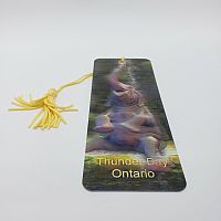 Elephant Bath - Thunder Bay 3D Bookmark