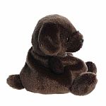 Palm Pals: Sienna Chocolate Lab 