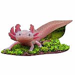 I Am Lil' Axolotl - Madd Capp