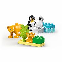 Duplo: Wild Animal Families - Penguins & Lions