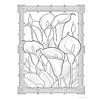 Creative Haven - Flowers of the World Coloring Book