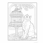 Creative Haven - Cats Coloring Book