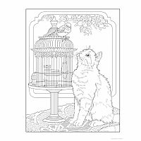 Creative Haven - Cats Coloring Book