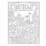 Creative Haven - Wildflowers Coloring Book