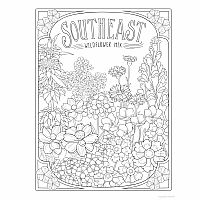 Creative Haven - Wildflowers Coloring Book