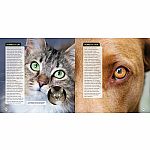 Animal Eyes - How Creatures See and How Their Eyes Have Adapted to Their World 