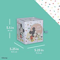 Disney Baby - Mickey Mouse Jack-in-the-box