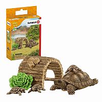 Tortoise Home  