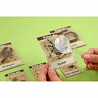 KidzLabs - Creepy Crawly Digging Kit