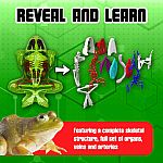 Dissect-It Frog Lab Plus with Refills