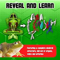 Dissect-It Frog Lab Plus with Refills