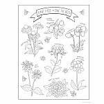 Creative Haven - Wildflowers Coloring Book