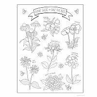 Creative Haven - Wildflowers Coloring Book