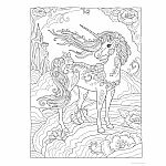 Creative Haven - Unicorn Wonders Coloring Book