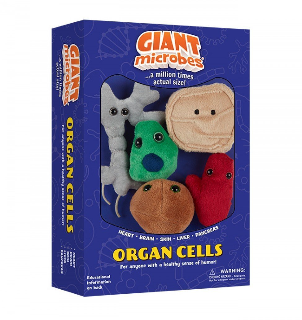 Organ Cells Giant Microbes Themed T Boxes Toy Sense