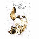 Hopper Studios Greeting Card - Pawsitively Purrfect!