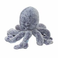 Jamie Octopus