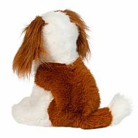 Kingsley Cavalier King Charles Spaniel