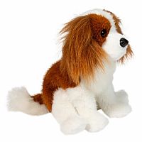 Kingsley Cavalier King Charles Spaniel