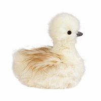 Tara Silkie Chick, Large