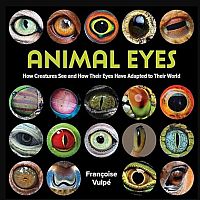 Animal Eyes - How Creatures See and How Their Eyes Have Adapted to Their World 