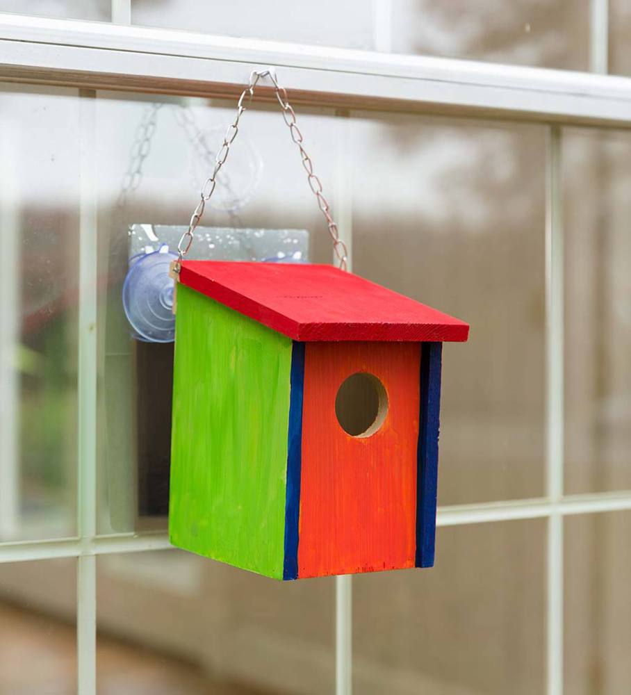 Color Pops Paint Your Own Window Birdhouse Toy Sense