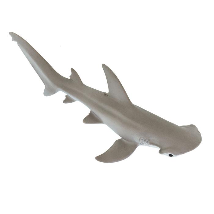 Bonnethead Shark - Toy Sense