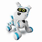 Buddy Xtrem Bots Crazy Pets