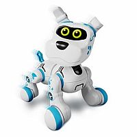 Buddy Xtrem Bots Crazy Pets