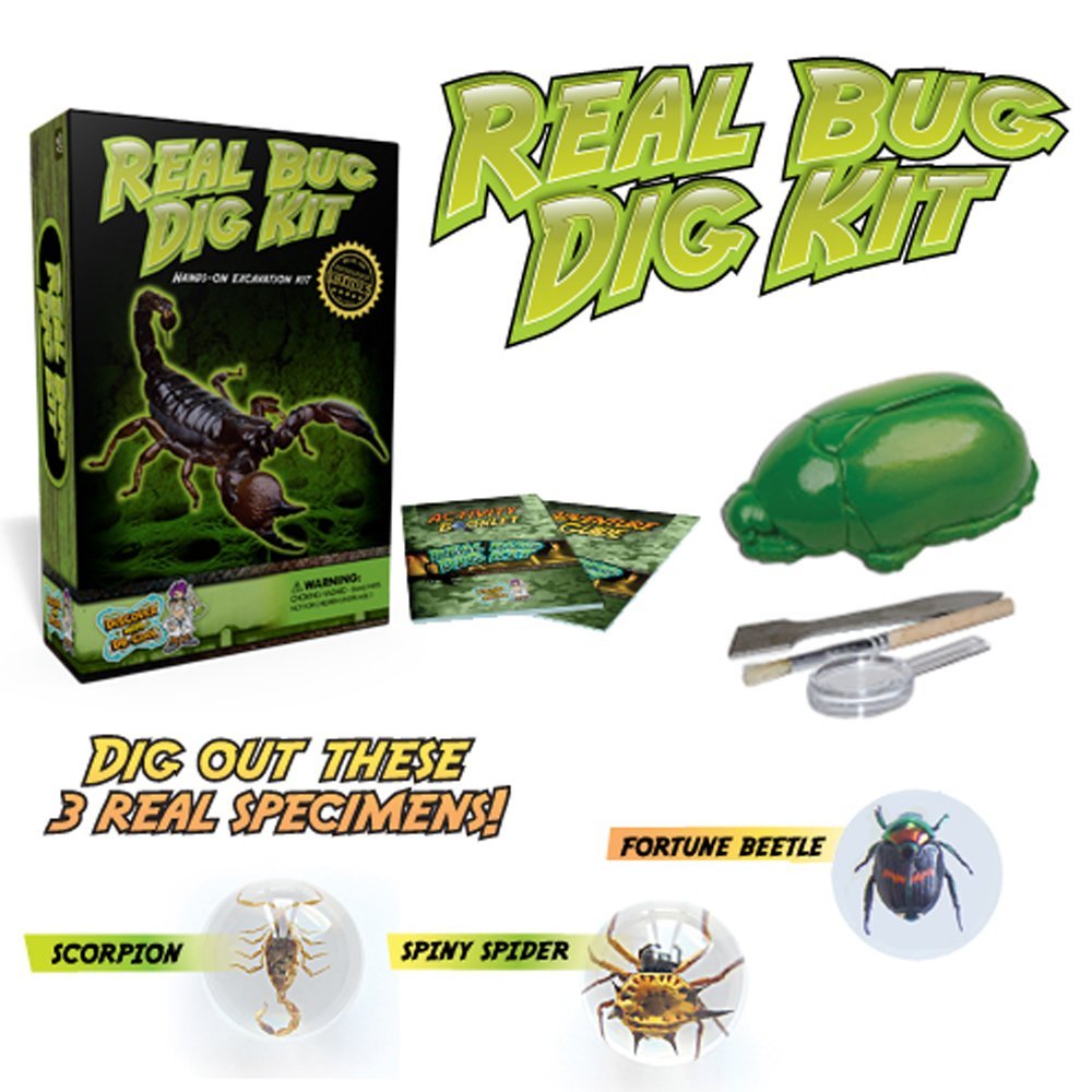 Real Bug Dig Kit - Toy Sense