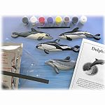 Eyewitness Kits - Dolphin 