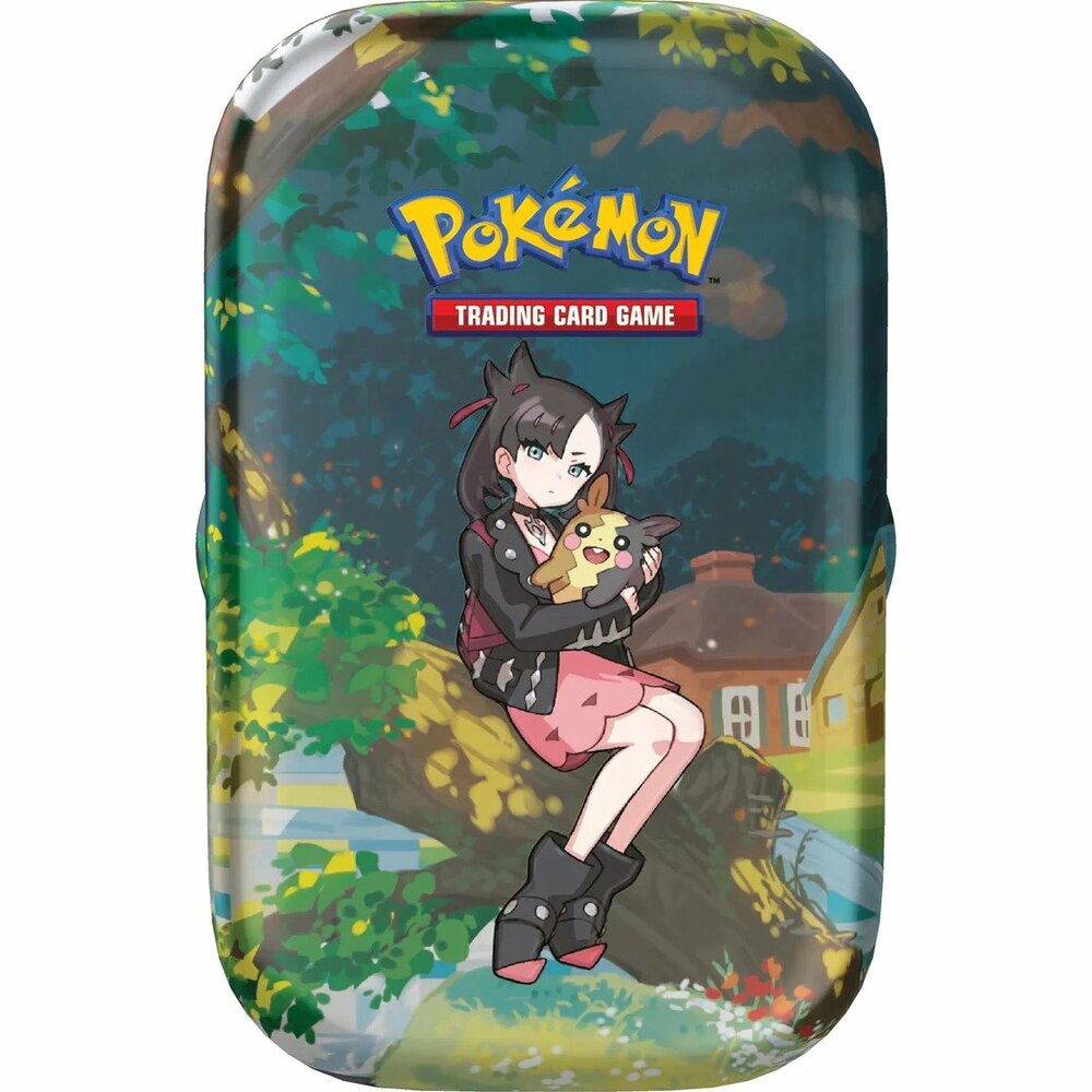 Pokemon- Mini Tin, 820650853067, Petit : : Jeux et Jouets