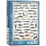 Freshwater Fish - Eurographics  