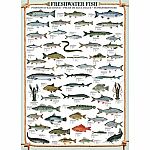 Freshwater Fish - Eurographics  