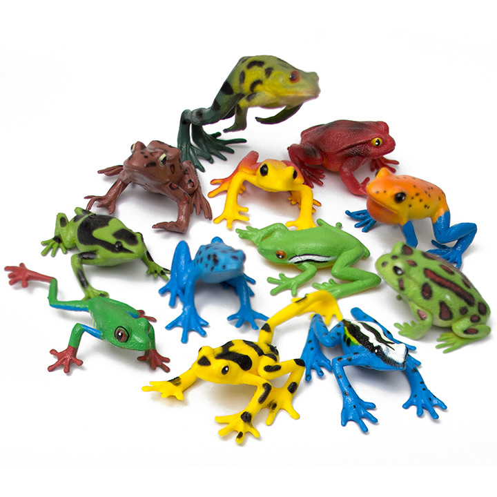 Frogs Nature Tube - Toy Sense