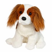 Kingsley Cavalier King Charles Spaniel