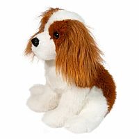 Kingsley Cavalier King Charles Spaniel