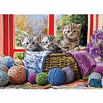 Knittin' Kittens - Eurographics